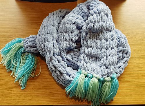 Craft: Middle School 3rd Place - Darcy Baldwin