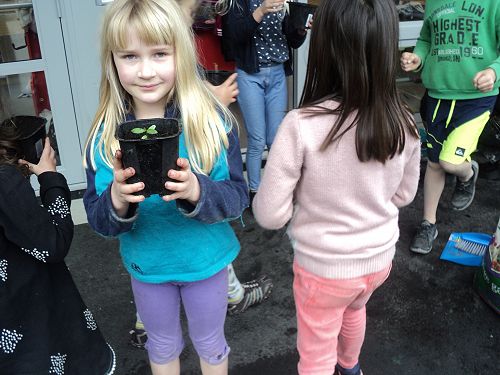 Learning Enrichment 05.09.16