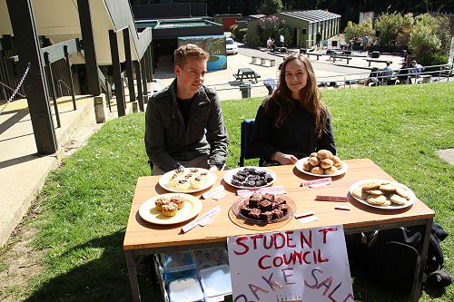 Outdoor Music Concert and Market Stalls