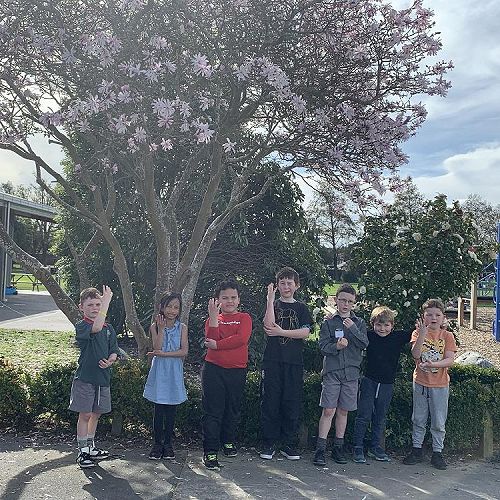 Video: Springtime at NZSL School