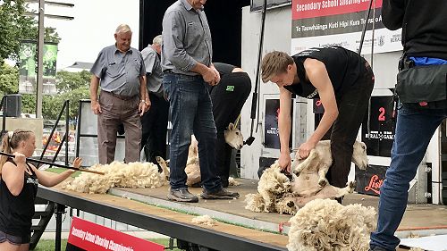 NZ Rural Games - Secondary Schools' Shearing Competition