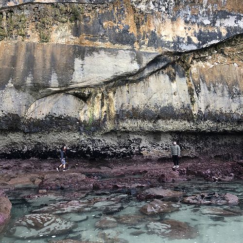 George Montalban (left) and Ryan McGregor (right) getting a close up look at the size of notch erosion along the base of the cliffs by wave action at Tunnel Beach