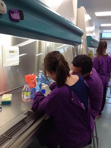 Selena Gilmer at Hands-on at Otago