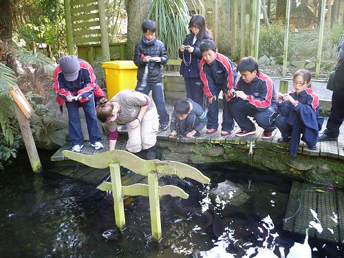 Japanese Students enjoying school life at Cobham and activities around Christchurch