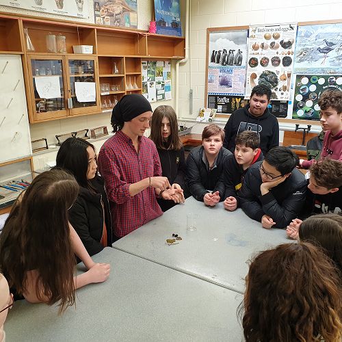 Orokonui Ecosanctuary class visit