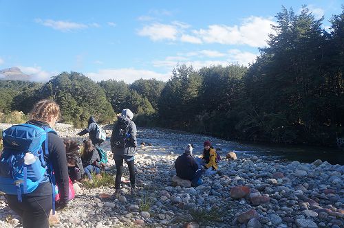 Louise Lin at Borland Camp 2017