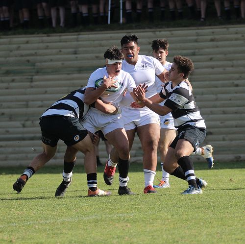 1st XV vs New Plymouth Boys' High School