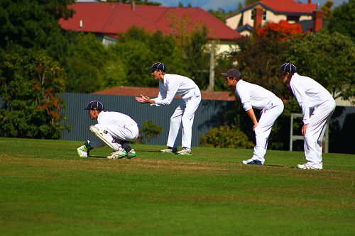 Cricket