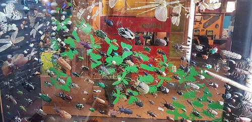 Awa's Trip to the Canterbury Museum