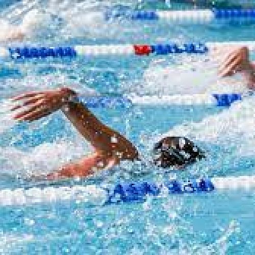 Swimming Sports