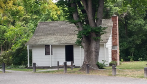 Riccarton House & Riccarton Bush - Team Harakeke - 2017