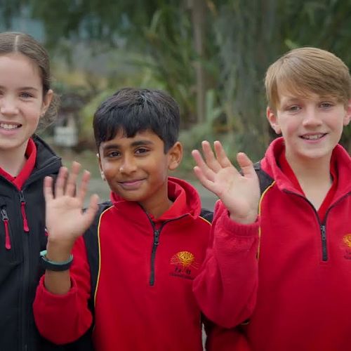 Video: Children's University Video