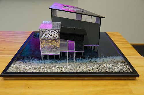 Ariana Knudson-Hollebon Year 13 