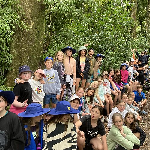 Middle's exploring Puketoki Reserve