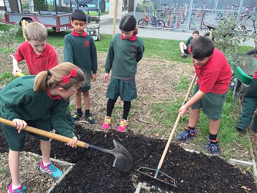 Helping out in the Food Forest