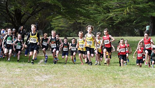 Inter regional primary schools cross country