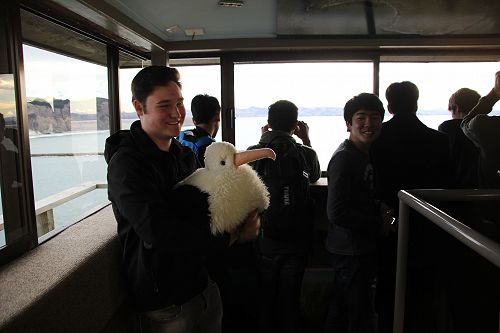 Albatross Colony Trip