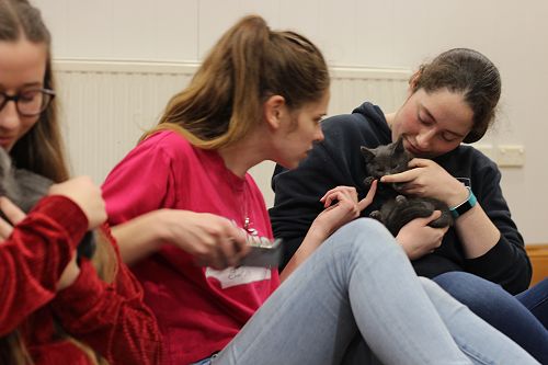 Cat Rescue Dunedin at St Margaret's College