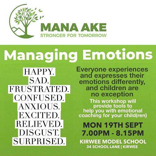 Managing Emotions