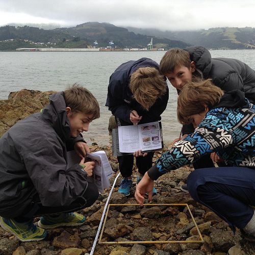 Exploring the Rocky Shore.  Portobello Aquarium.  Year 9 Science Field Trip.