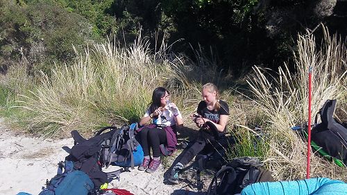 Rakiura international tramp