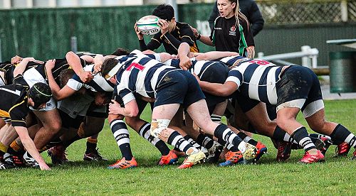 PNBHS Colts Rugby v Wellington College 