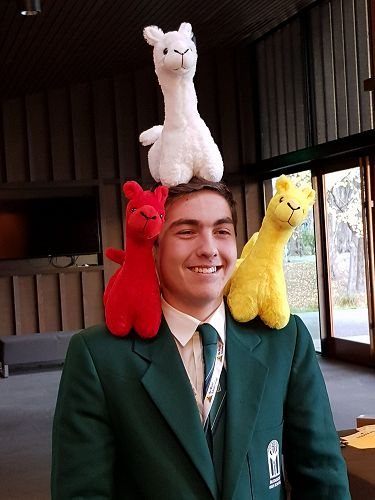 Cole Tainui 11SBUC with the Alpaca mascots