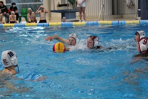Waterpolo
