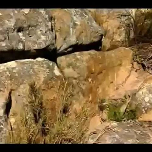 Video: How We Learn - Synapses and Neural Pathways