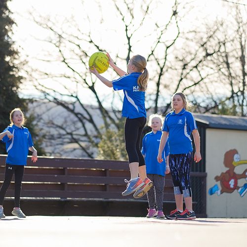 Sports Netball