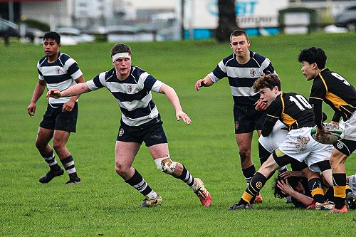 PNBHS Colts Rugby v Wellington College 