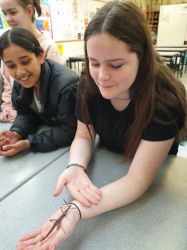 Orokonui Ecosanctuary class visit