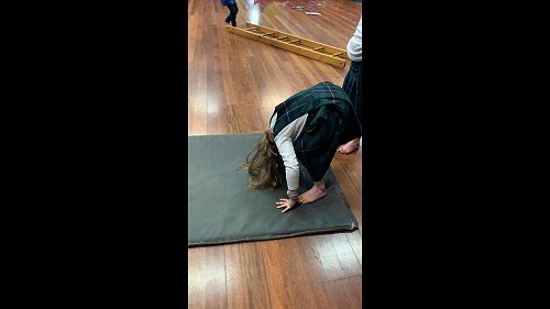 Video: Willow roll (2)