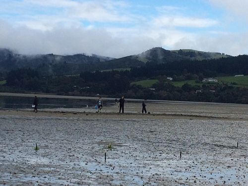 Year 12 Biology Trip To Blueskin Bay