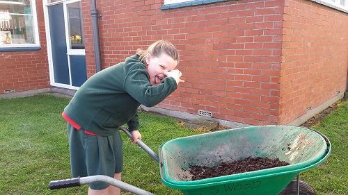Eden transporting compost to help our gardens grow