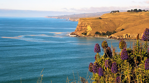 Godley Head from Scarborough 