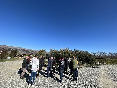 COOG pruning seminar September 2022