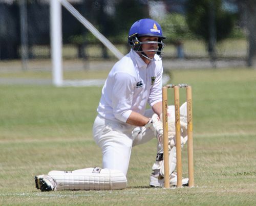 2001 Cricket Reunion