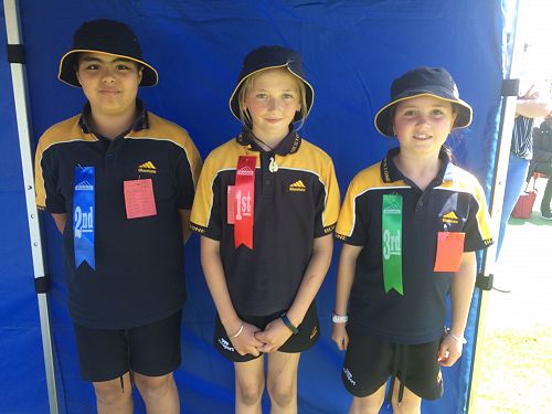 High Jump    U9 girls First: Erikah Cassidy 93cm Second: Phoenix Candy 91cm Third: Taya Reid 90cm