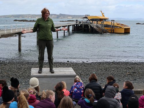 Tiritiri Matangi Island