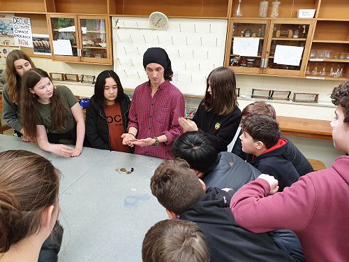 Orokonui Ecosanctuary class visit