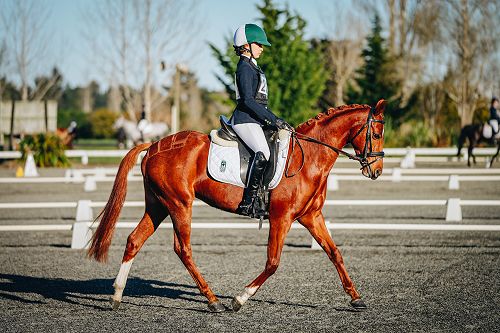 SISS Equestrian Event 2022
