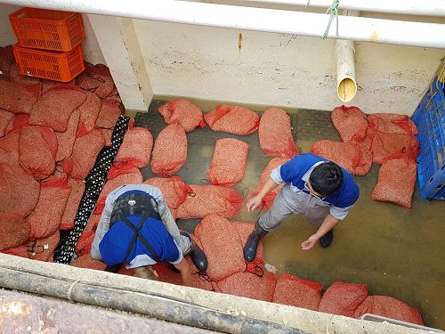 Our guys busy with the annual bio filter cleanse 