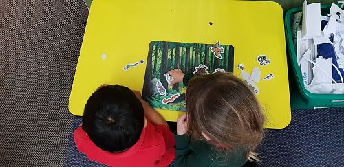 Learning Through Play