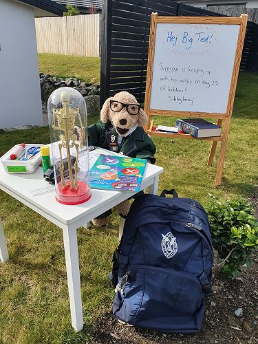 Pet Photo: Junior School 1st Place - Max Smith