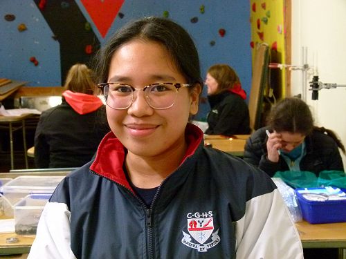 Year 13 Biology Field Trip to Wainui 2019