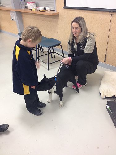 Izaiah James meeting Stevie the dog