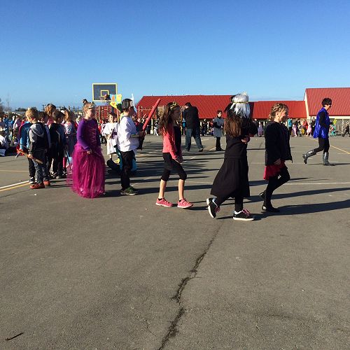 Room 7 in the grand parade.