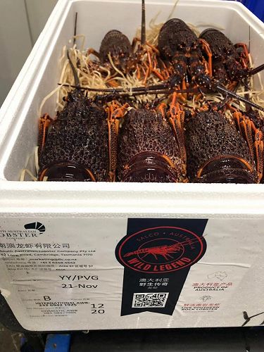 Seatbelts fastened and tray tables folded for the trip to Shanghai (PVG).