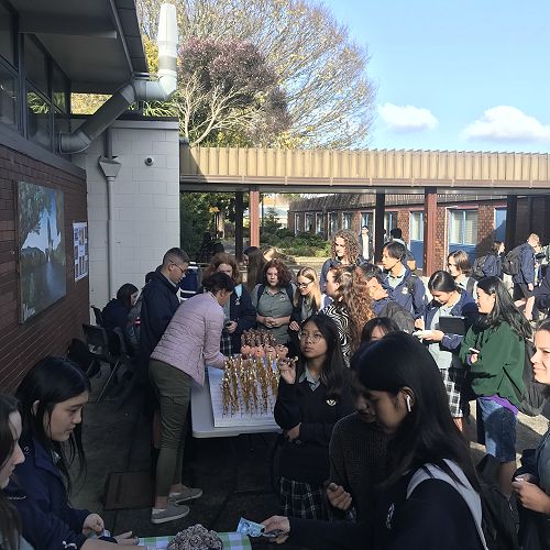 Hillcrest High School Yr 10 Market Day